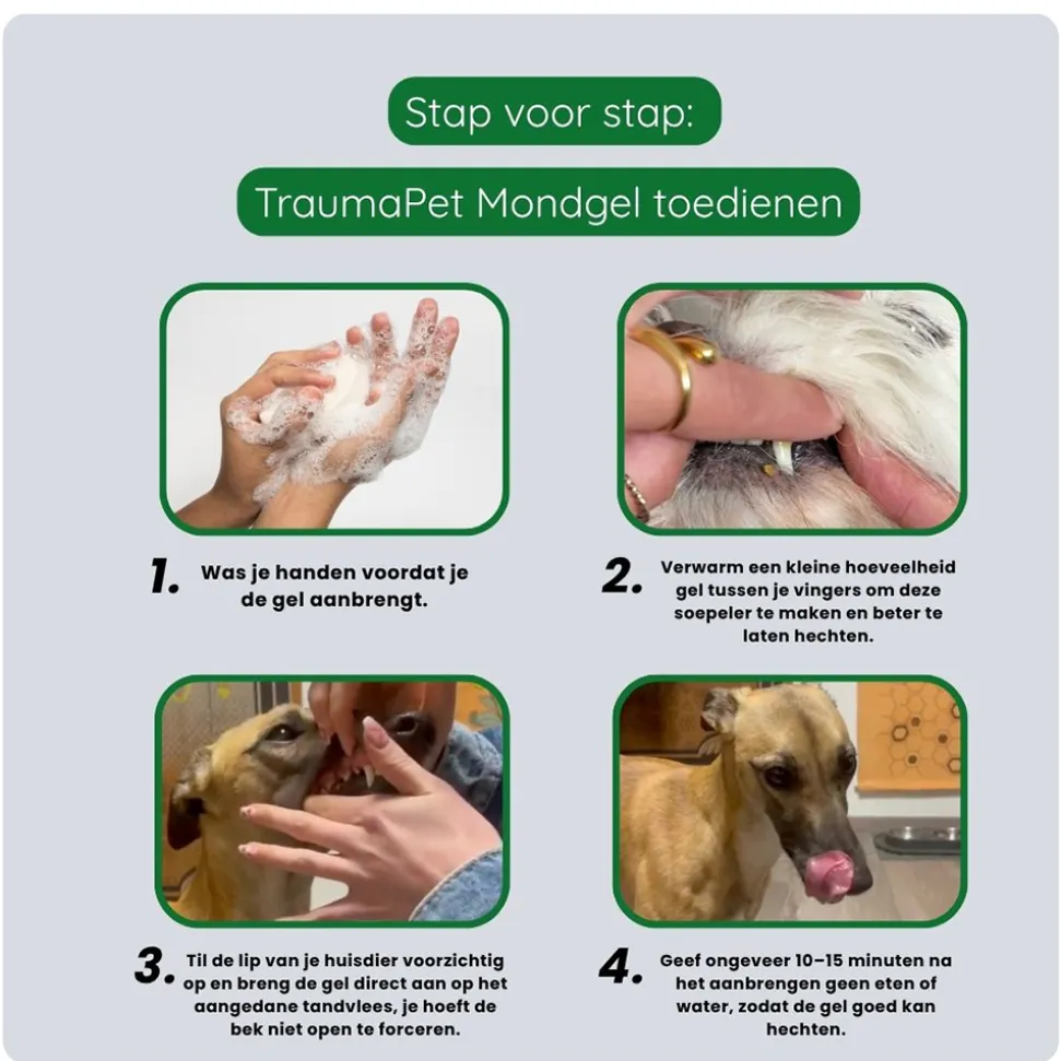 TraumaPet Mondgel