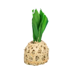 Trixie Ananas