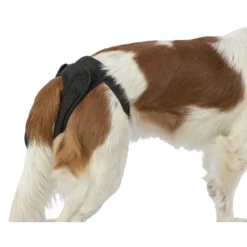 Trixie Beschermbroekje Comfort