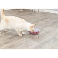 Trixie Cat Activity Rocking Maze