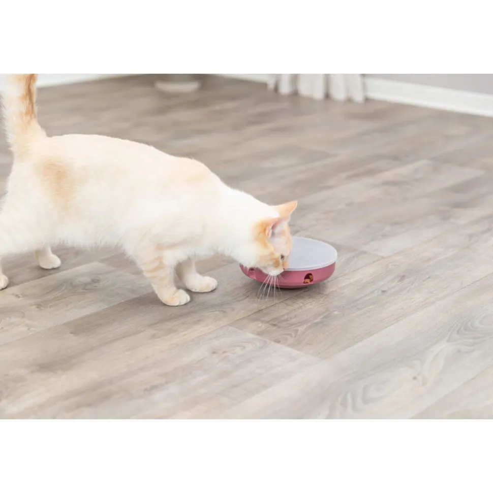 Trixie Cat Activity Rocking Maze