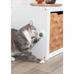 Trixie Catnip-bal met Houder