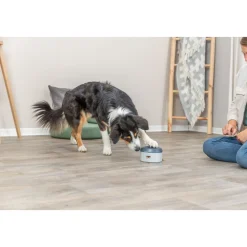 Trixie Dog Activity Buzzer