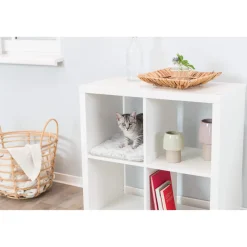 Trixie Ligmat Harvey voor Kasten