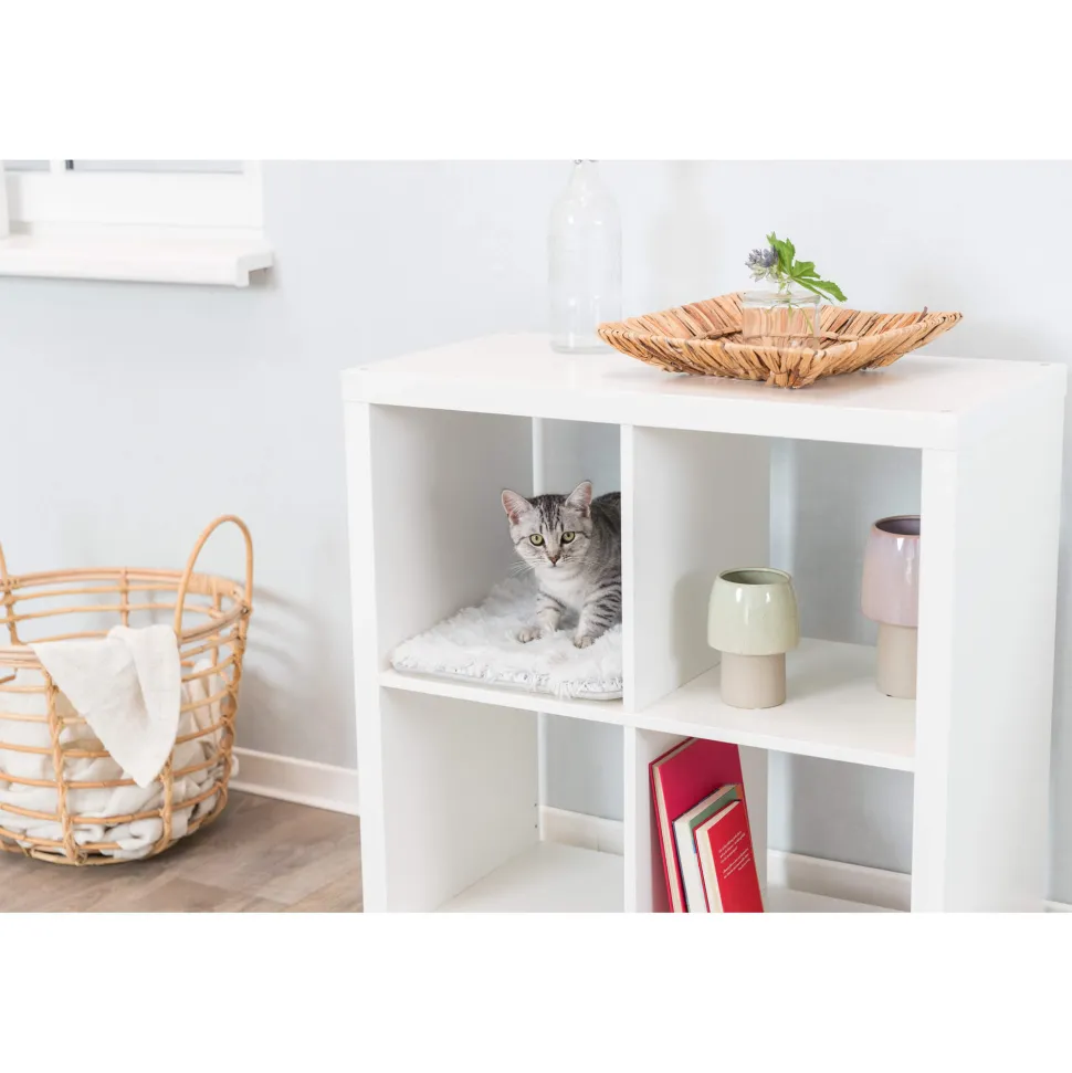 Trixie Ligmat Harvey voor Kasten