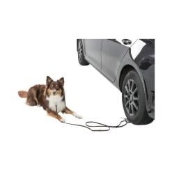 Trixie Oprijplaat Auto