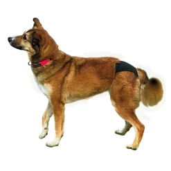 Trixie Protective Pants and Pads