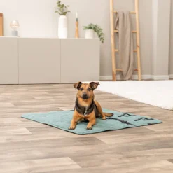 Trixie Reisdeken CityStyle