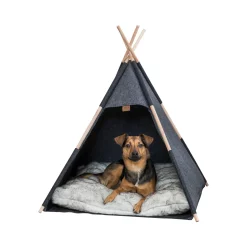 Trixie Tipi