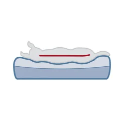 Trixie Vitaal Matras Bendson