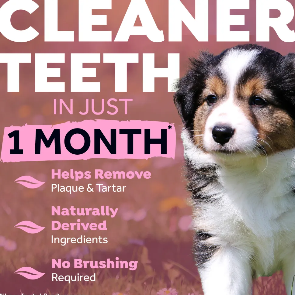 TropiClean - Fresh Breath Puppy Clean Teeth Gel