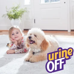 Urine Off Hond