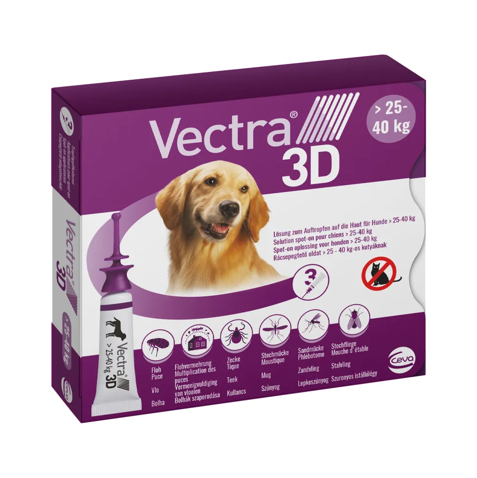 Vectra 3D Dog