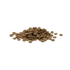 Versele-Laga Opti Life Urinary Kat