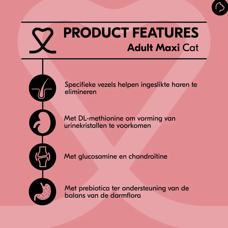 Vetality Adult - Kattenvoer