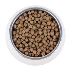 Vetality Hypoallergenic - Kattenvoer
