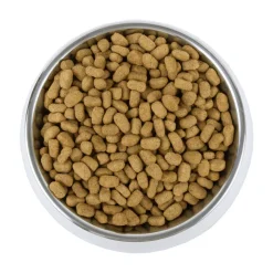 Vetality Weight Management - Hondenvoer