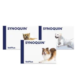 Vetplus Synoquin - Tabletten