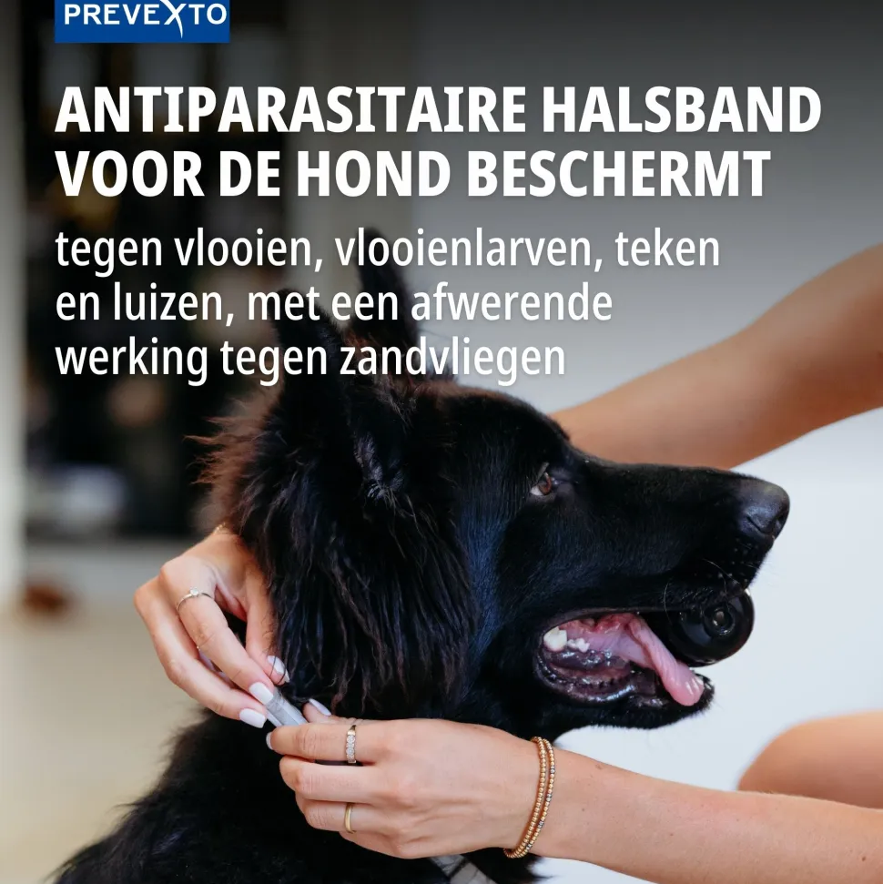 Virbac PreveXto Halsband Hond