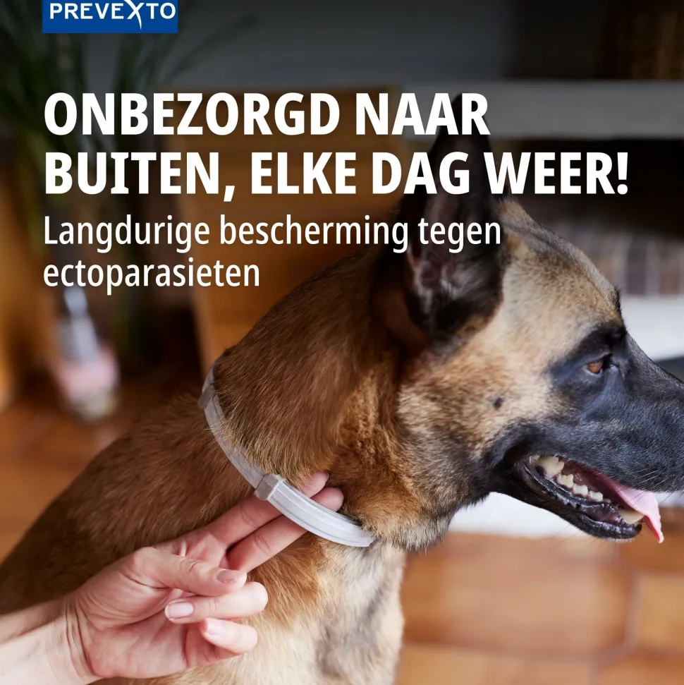Virbac PreveXto Halsband Hond