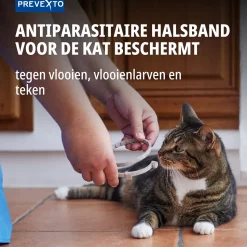 Virbac PreveXto Halsband Kat