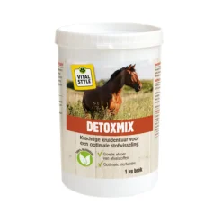 VitalStyle Detoxmix