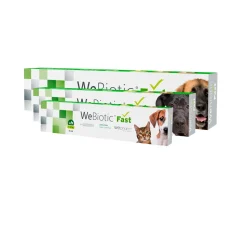 Wepharm WeBiotic Fast - Pasta