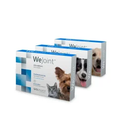 Wepharm WeJoint