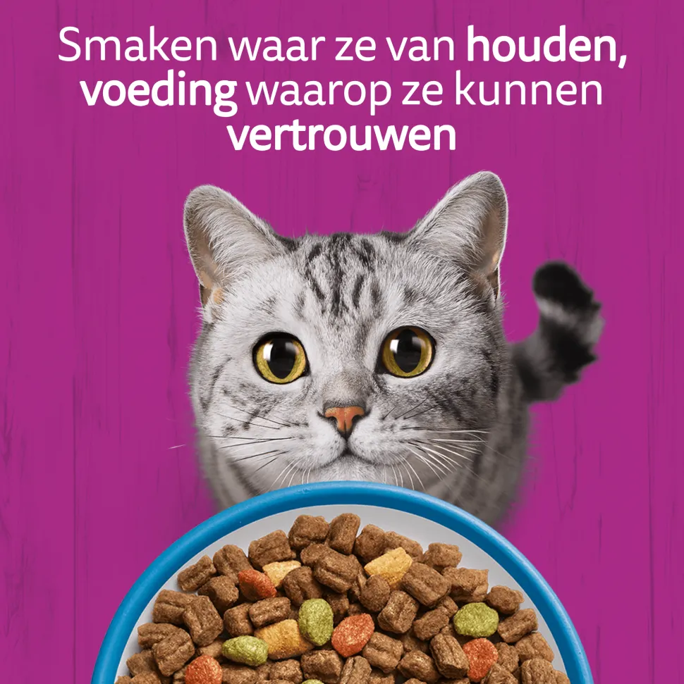 Whiskas Adult Kattenbrokken