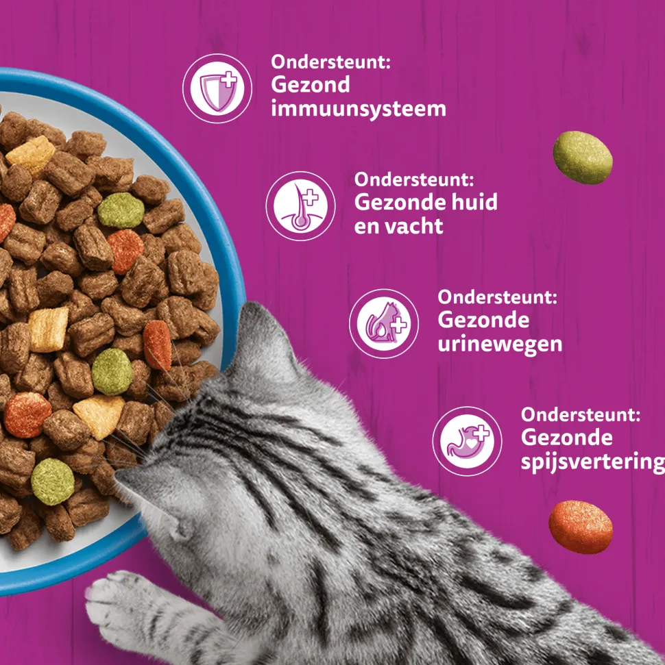 Whiskas Adult Kattenbrokken
