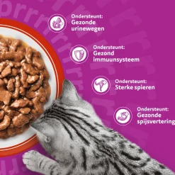 Whiskas 7+ Classic Selectie in saus