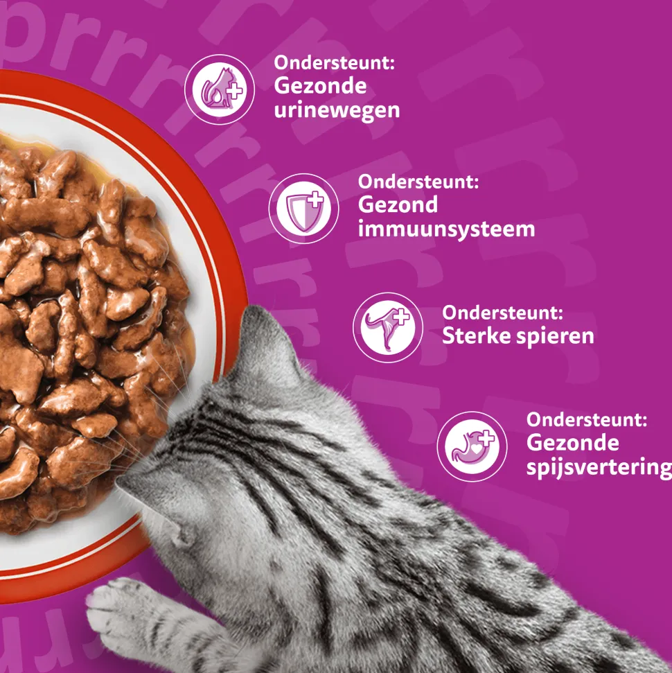 Whiskas 7+ Classic Selectie in saus