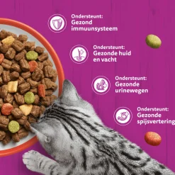 Whiskas Droog Adult Box
