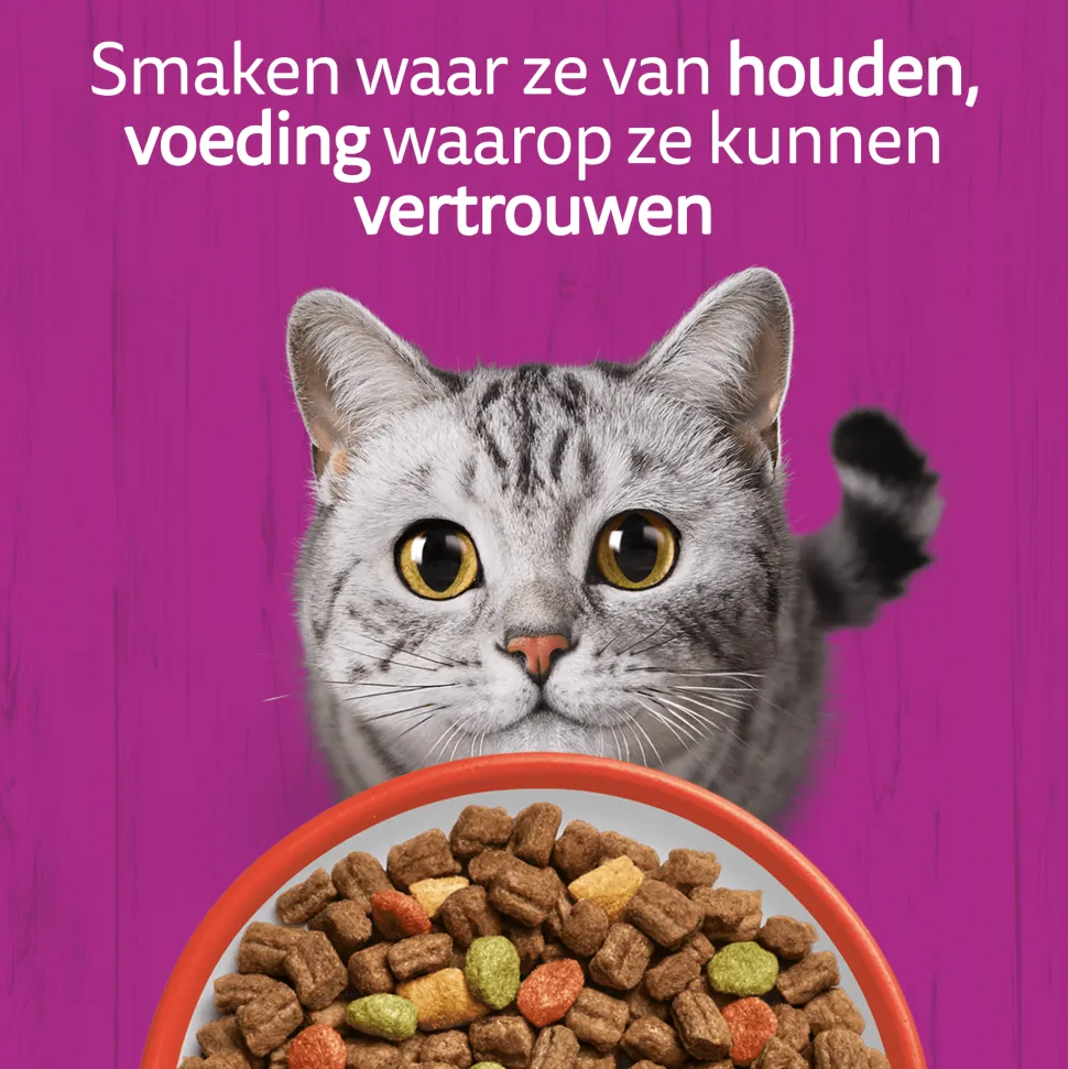 Whiskas Droog Adult Box