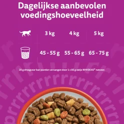 Whiskas Droog Adult Box
