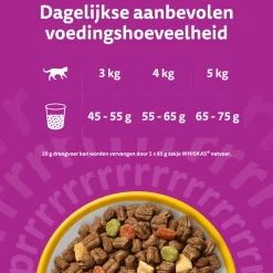 Whiskas Droog Senior Box