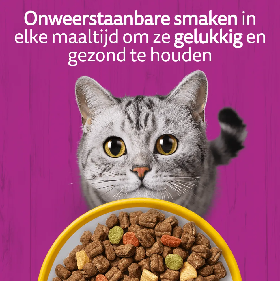 Whiskas Droog Senior Box
