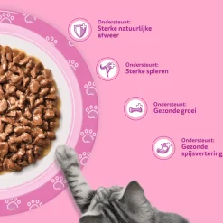 Whiskas Junior Natvoer - Classic