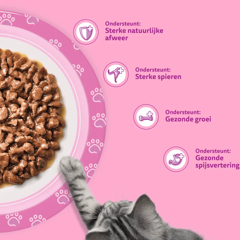 Whiskas Junior Natvoer - Classic