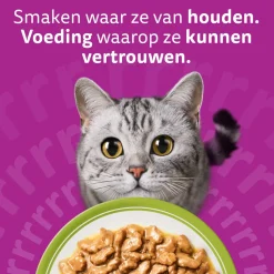 Whiskas 1+ Mixed Menu in Gelei - Maaltijdzakjes