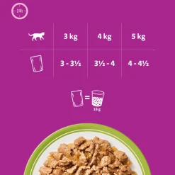 Whiskas 1+ Mixed Menu in Gelei - Maaltijdzakjes