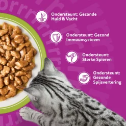 Whiskas 1+ Mixed Menu in Gelei - Maaltijdzakjes