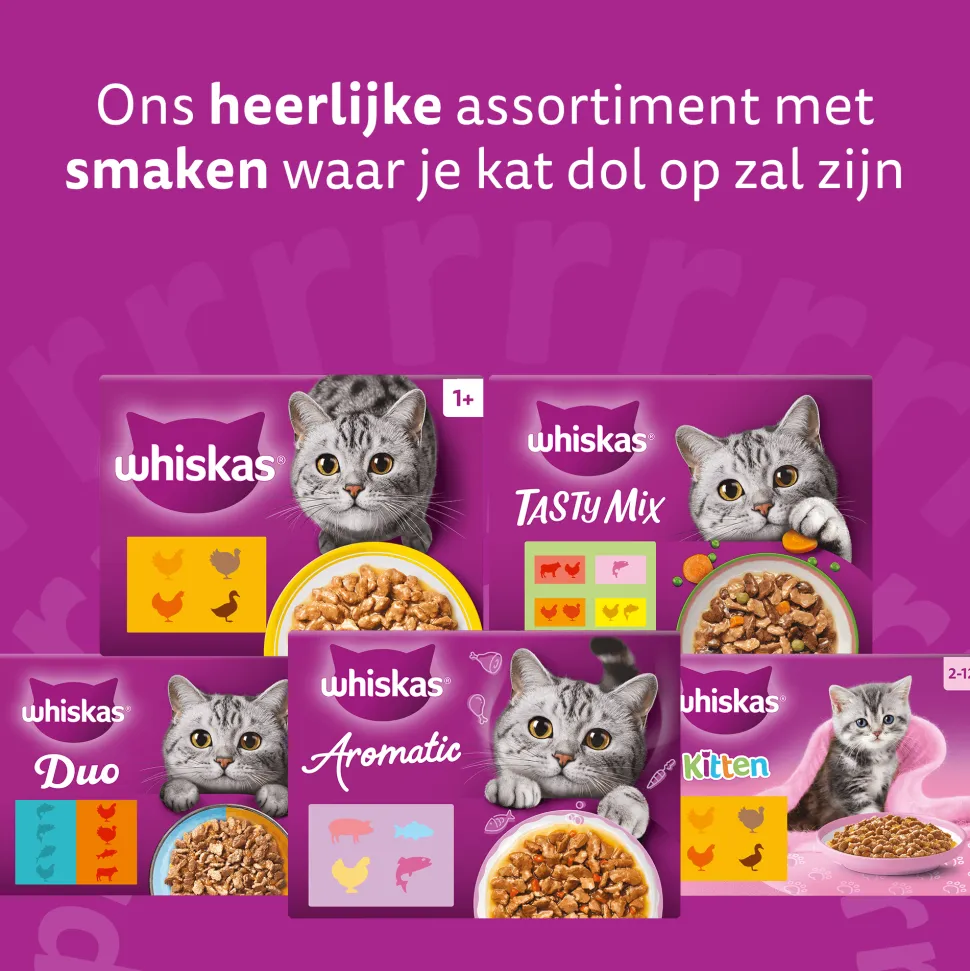 Whiskas 1+ Natvoer - Tasty Mix - Multipack