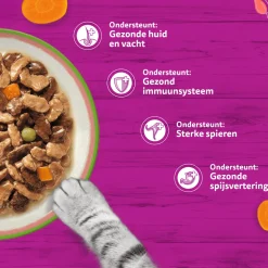Whiskas 1+ Natvoer - Tasty Mix - Multipack