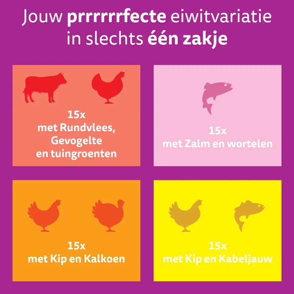 Whiskas 1+ Natvoer - Tasty Mix - Multipack