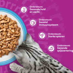 Whiskas 1+ Selectie - Multipacks