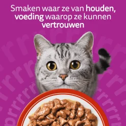 Whiskas 1+ Selectie - Multipacks