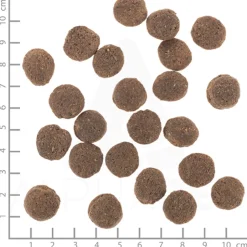 Wolfsblut VetLine Hypoallergenic - Hondenvoer