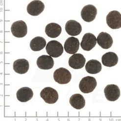 Wolfsblut VetLine Joint Care - Hondenvoer