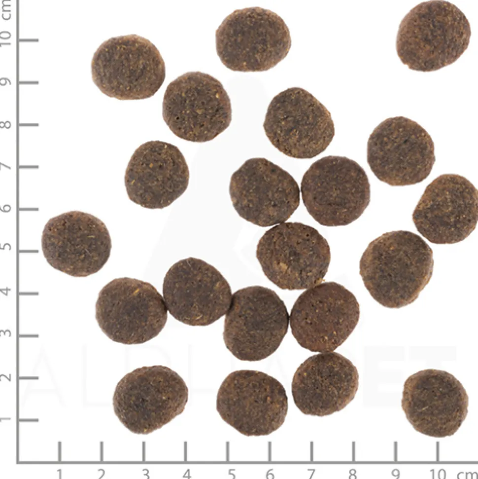 Wolfsblut VetLine Urinary - Hondenvoer